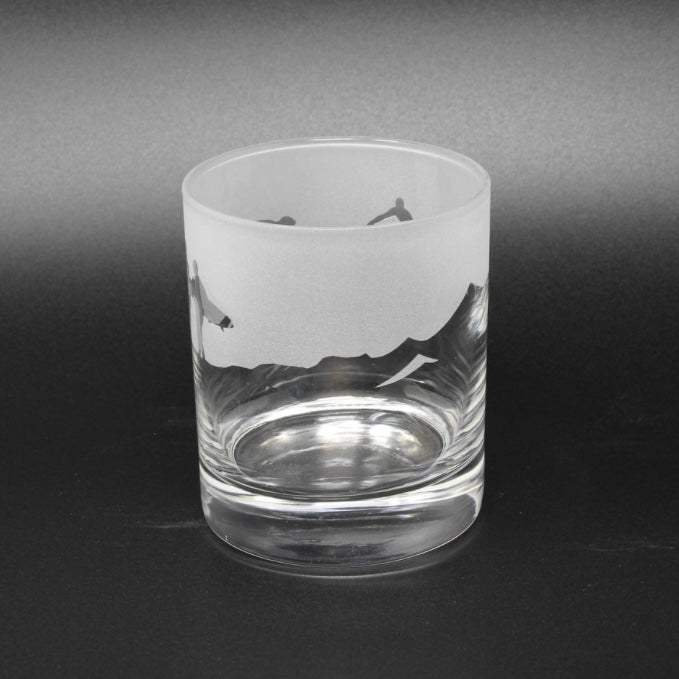 Surfer Whisky Tumbler